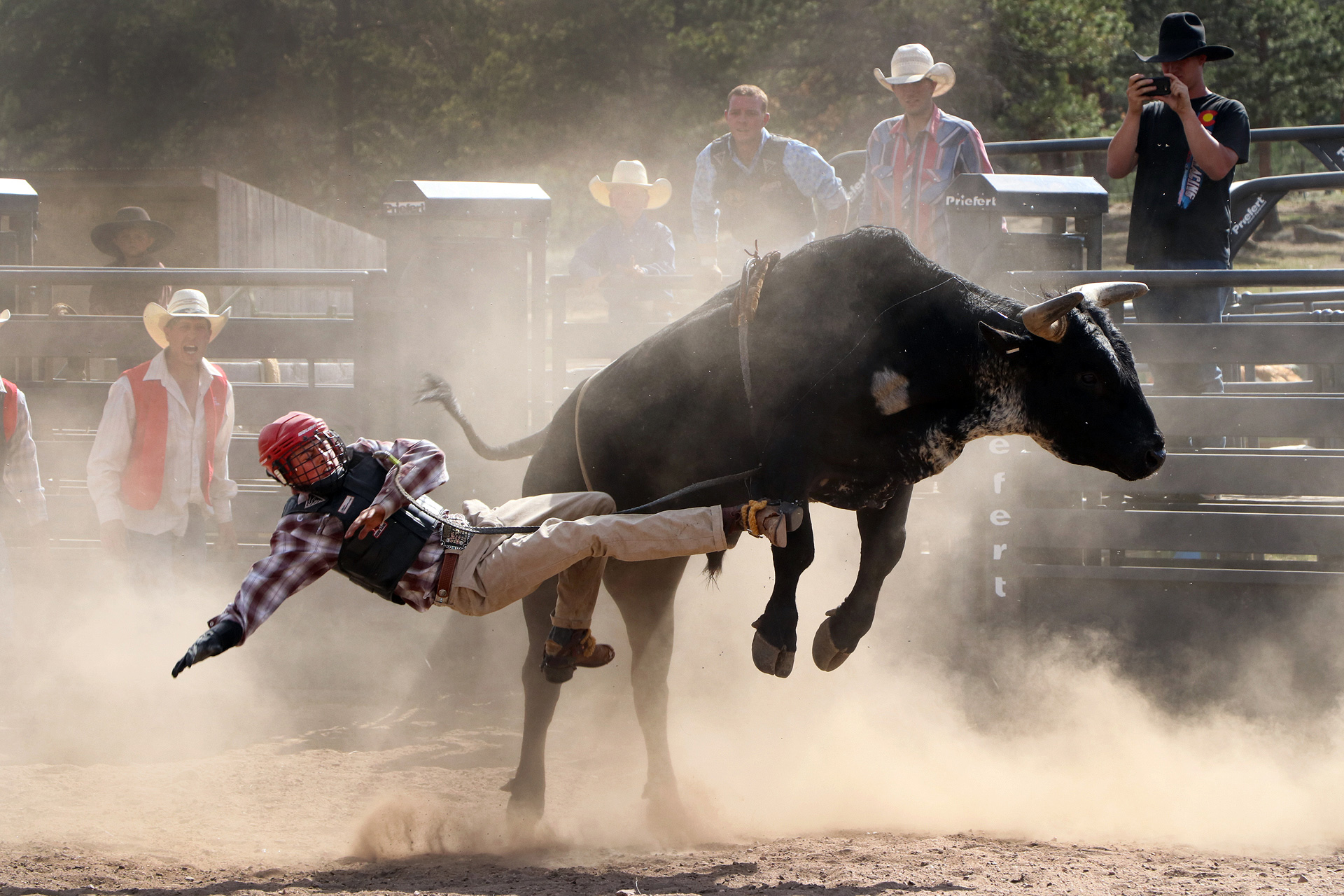 Dust flies as a bull rider gets thrown during a rodeo in Lake George, Colorado.