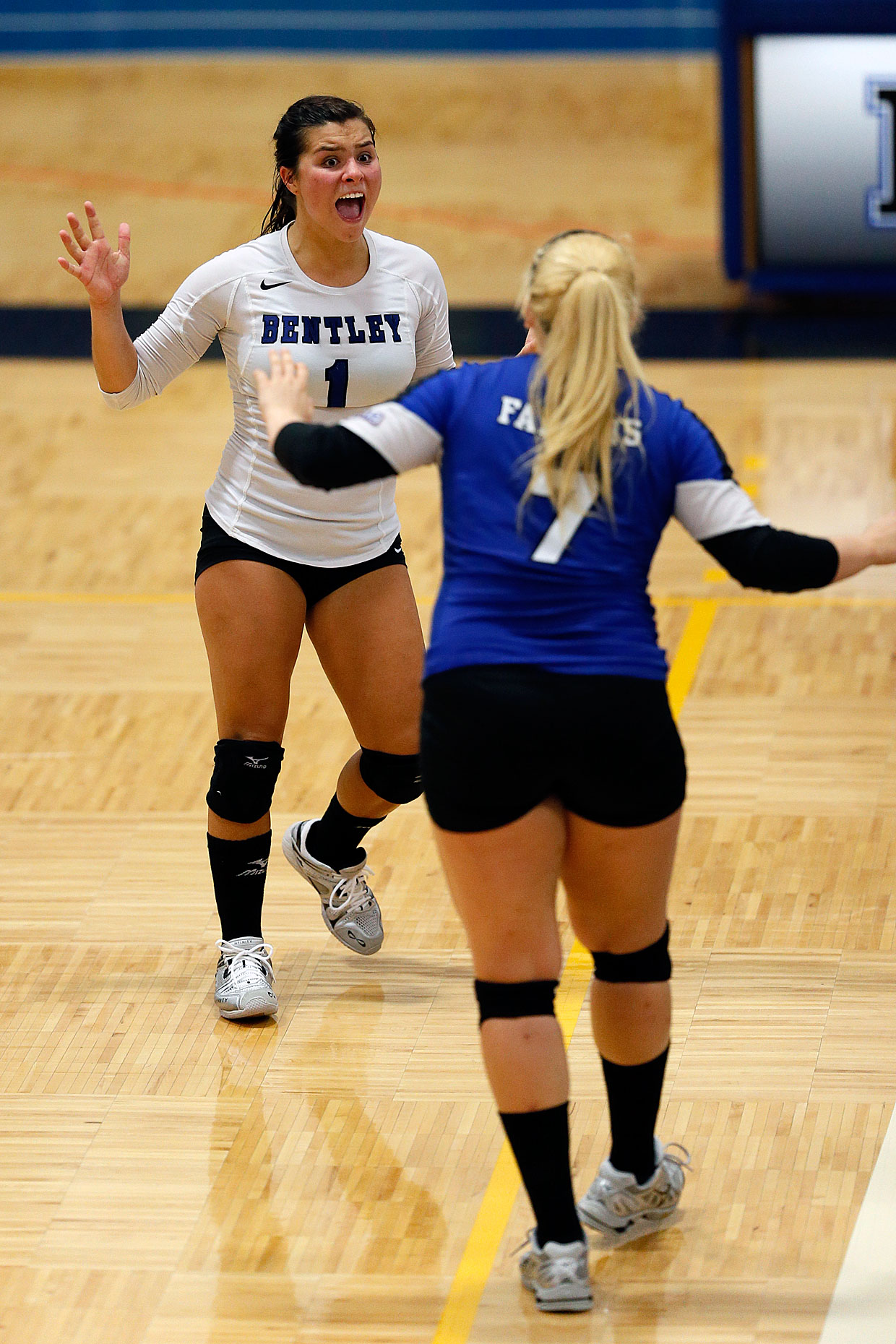 Bentley University volleyball players celebrate during a match against Merrimack.